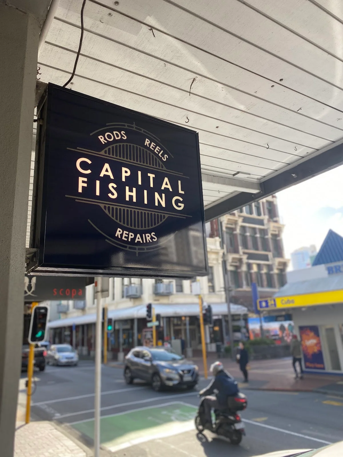 Capital Fishing in Wellington | What to Know Before You Go