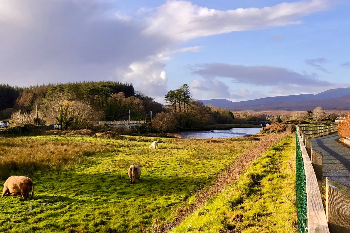 Great Western Greenway in Westport Quay - Ask AI | mindtrip