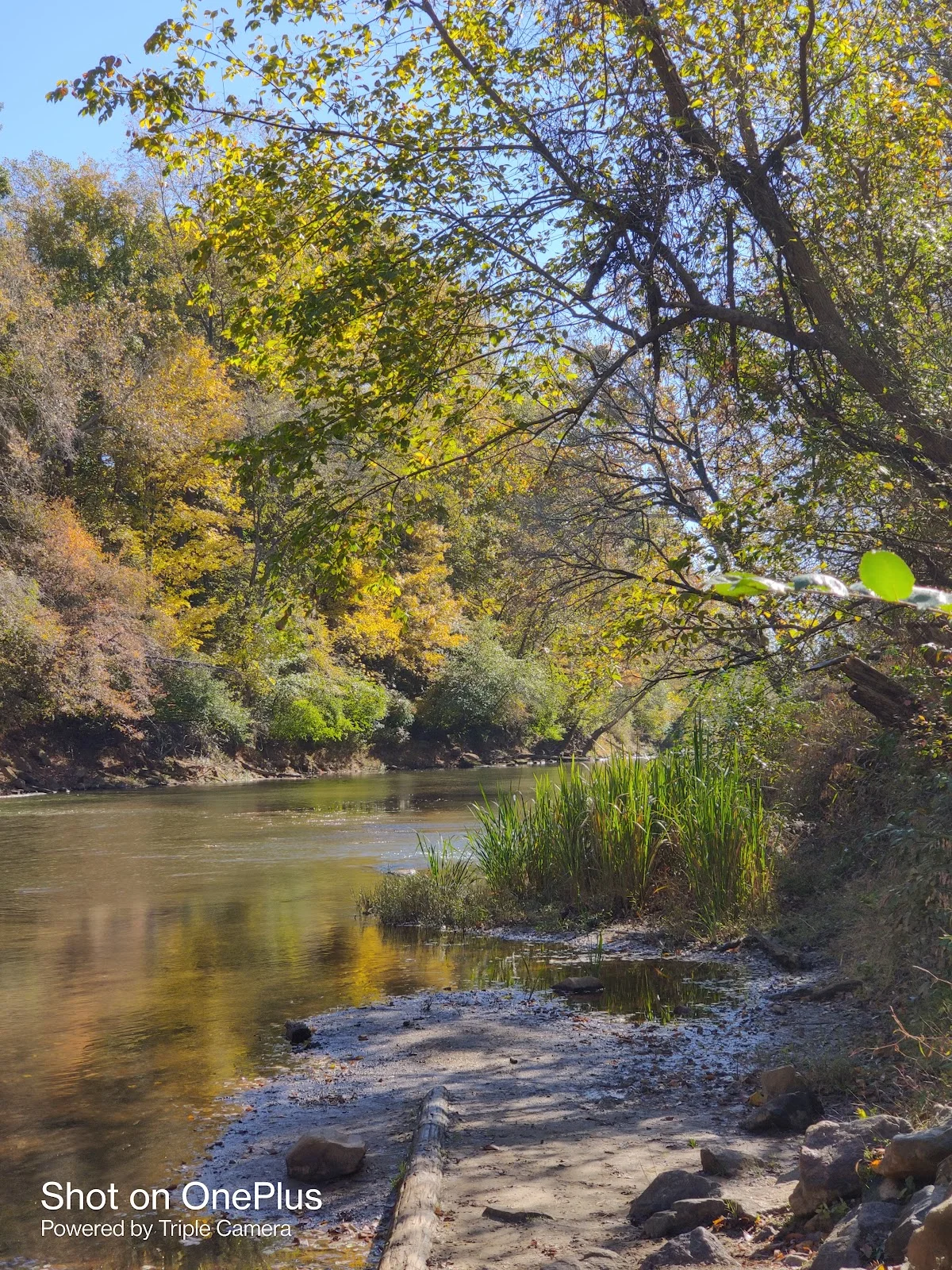 Falls of Neuse Canoe Launch - Ask AI | mindtrip