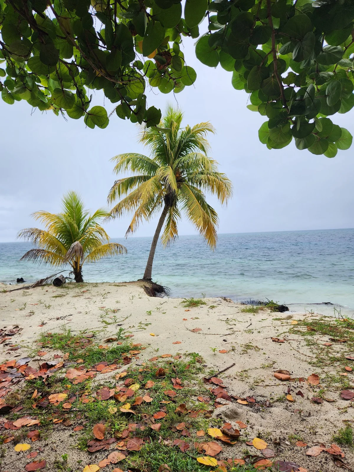 Long Caye in Belize - Ask AI | mindtrip