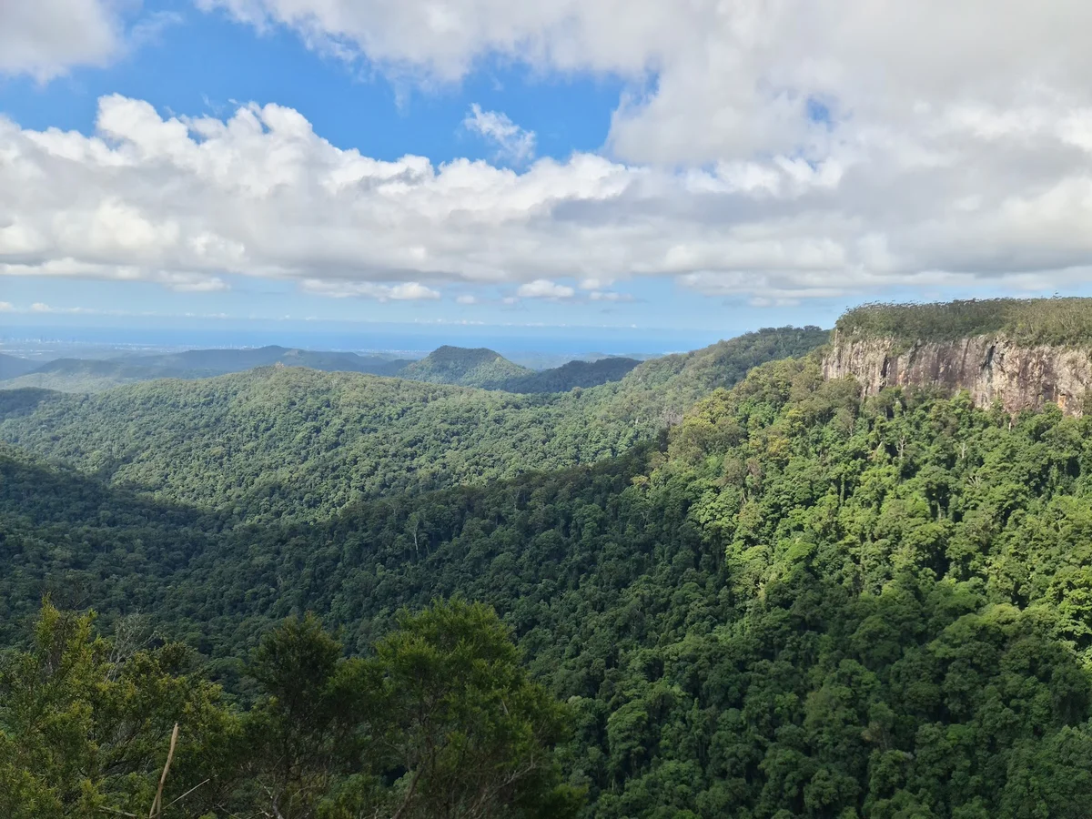 Springbrook National Park | What to Know Before You Go