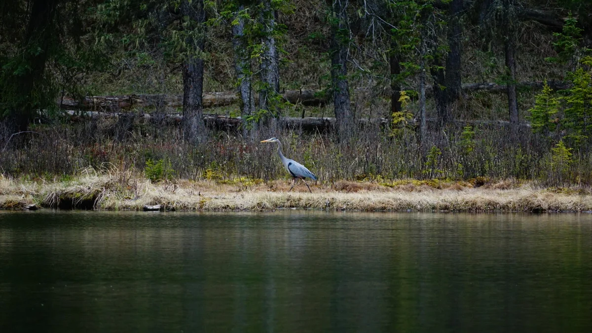 Winchell Lake Recreation Area in Water Valley | Ask Anything