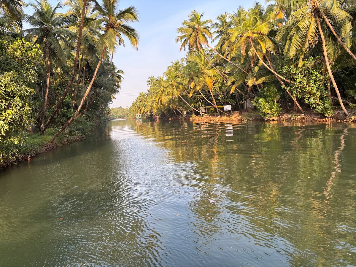 Nesara Backwater Boating in Honnavar | Ask Anything