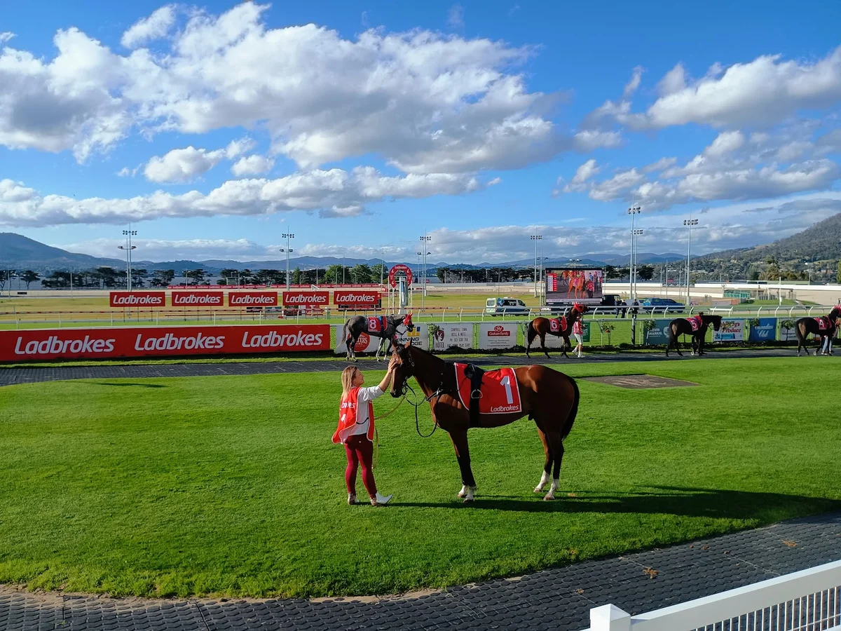 Elwick Racecourse in Risdon, Tasmania - Ask AI | mindtrip