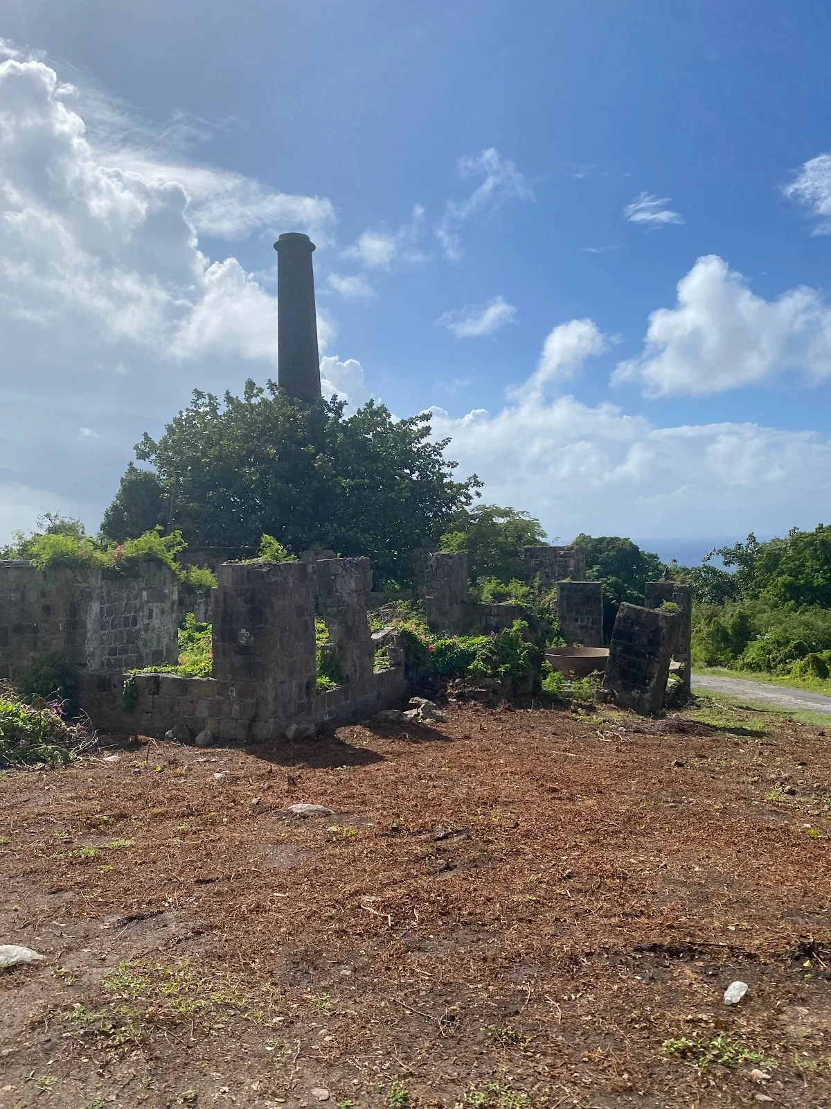 Hamilton Estate - Plantation | What to Know Before You Go
