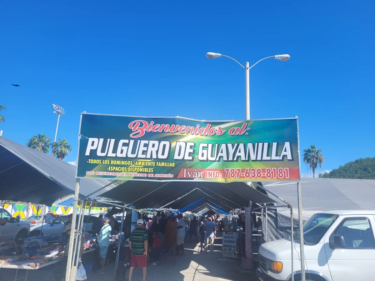 Pulguero Guayanilla in Guayanilla - Ask AI | mindtrip