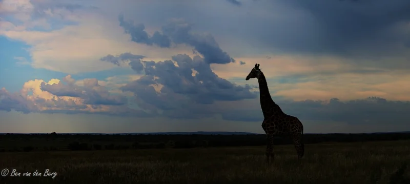 Kamonande Nature Reserve in Vaalwater | Ask Anything