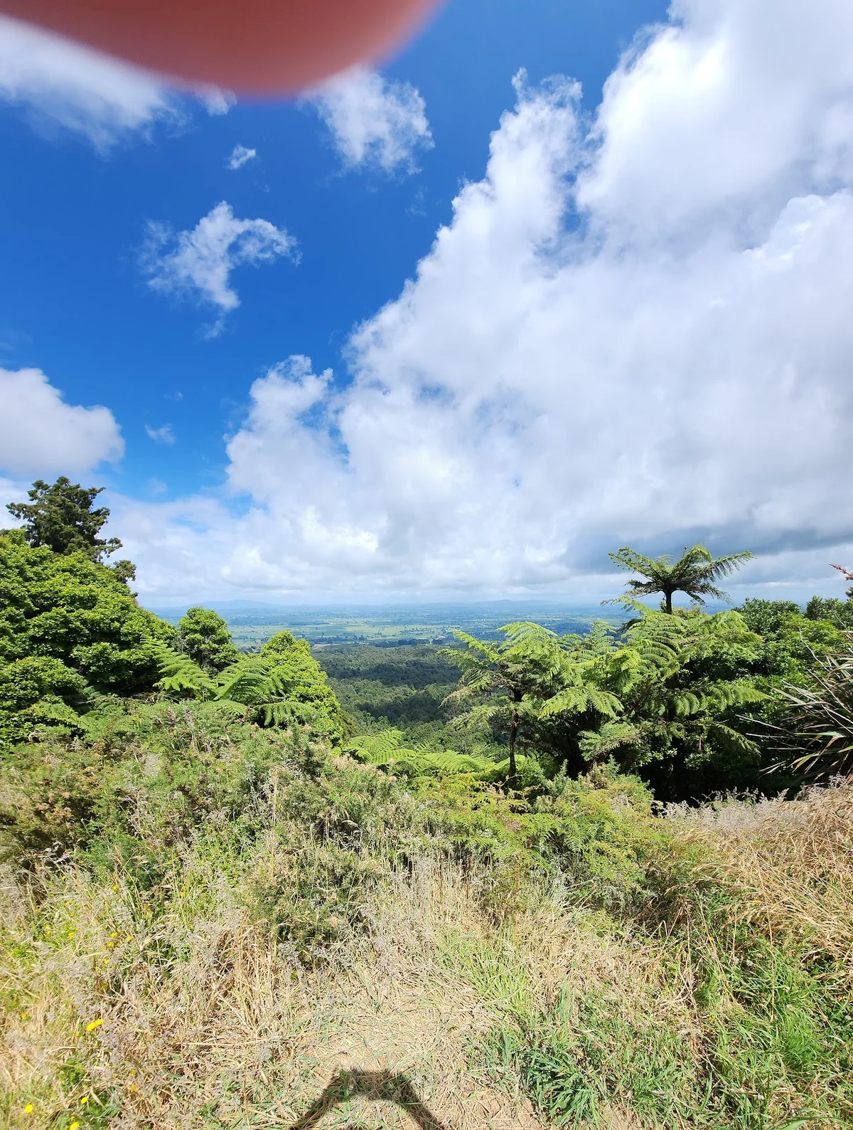 Kaimai Mamaku Lookout in Lower Kaimai - Ask AI | mindtrip