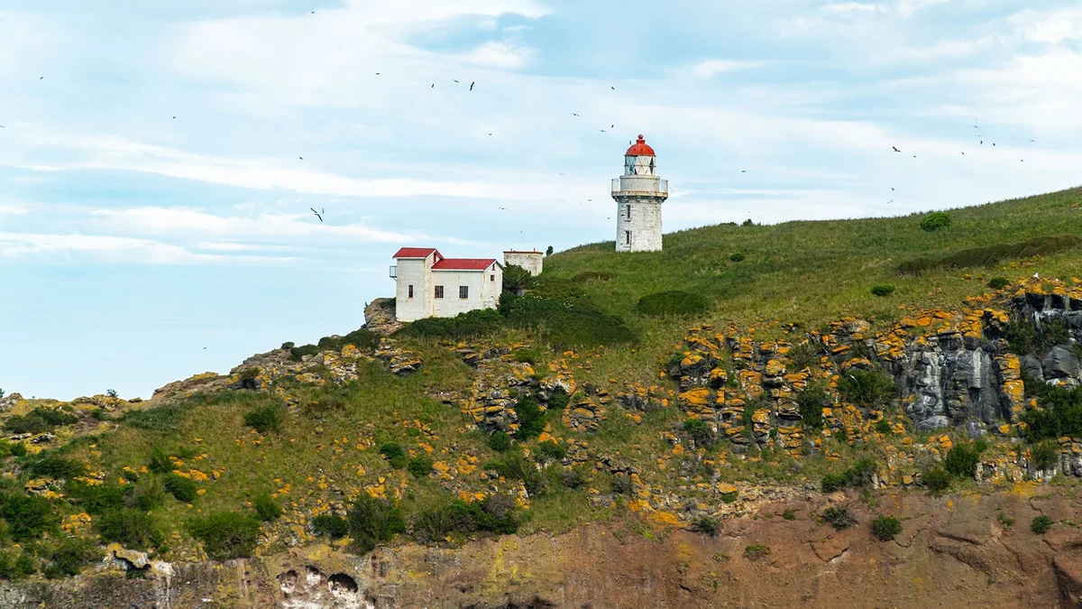 Fort Taiaroa in Aramoana, Otago | What to Know Before You Go