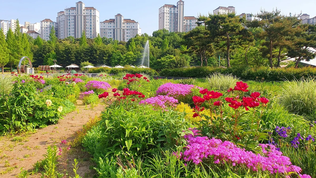 Geolpo Central Park in Gimpo | What to Know Before You Go