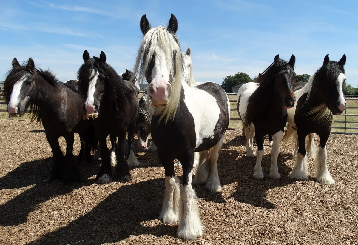 Redwings Oxhill in Kineton | What to Know Before You Go