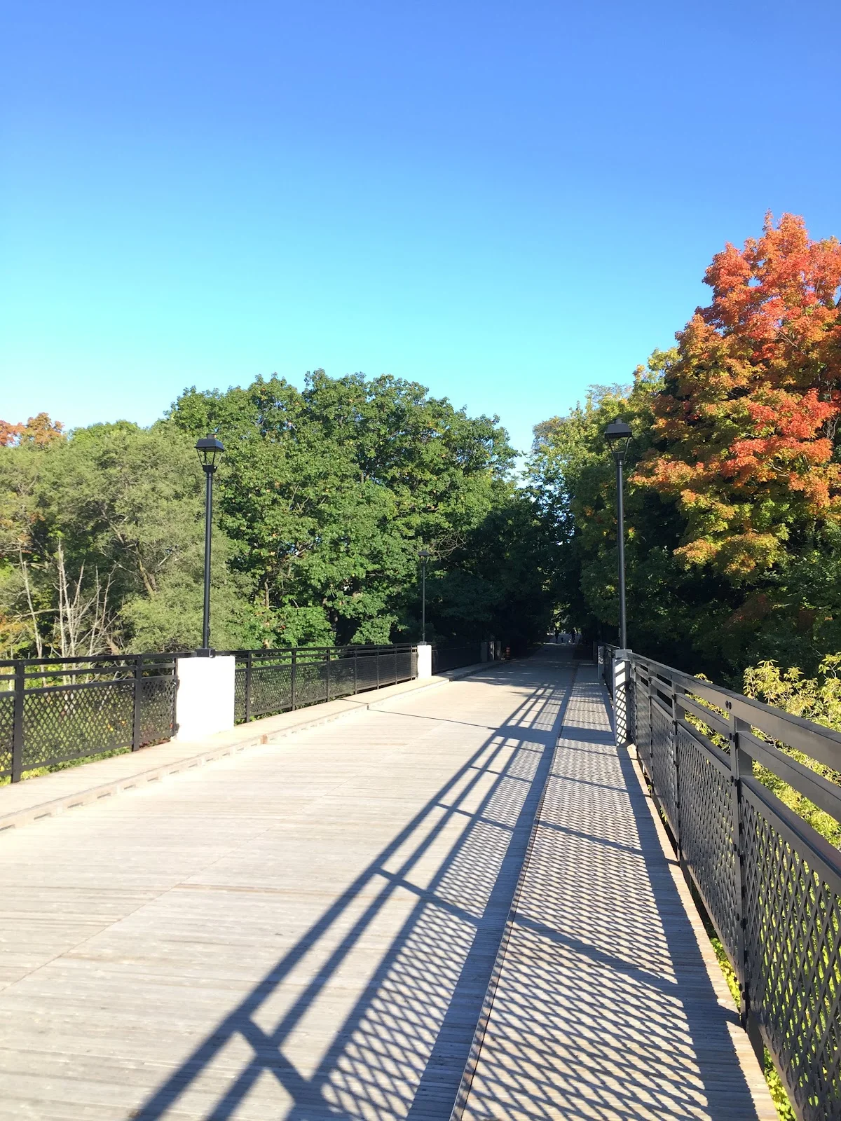 Glen Cedar Pedestrian Bridge | What to Know Before You Go