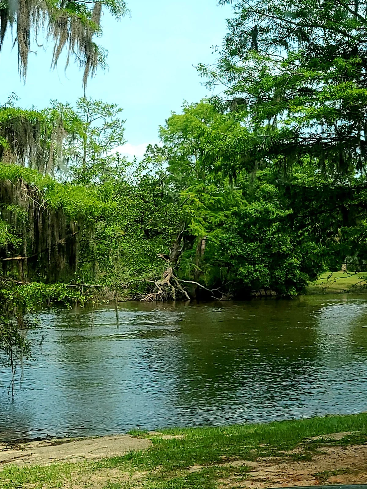 Ogeechee River Camping Club in Eden, Georgia | Ask Anything