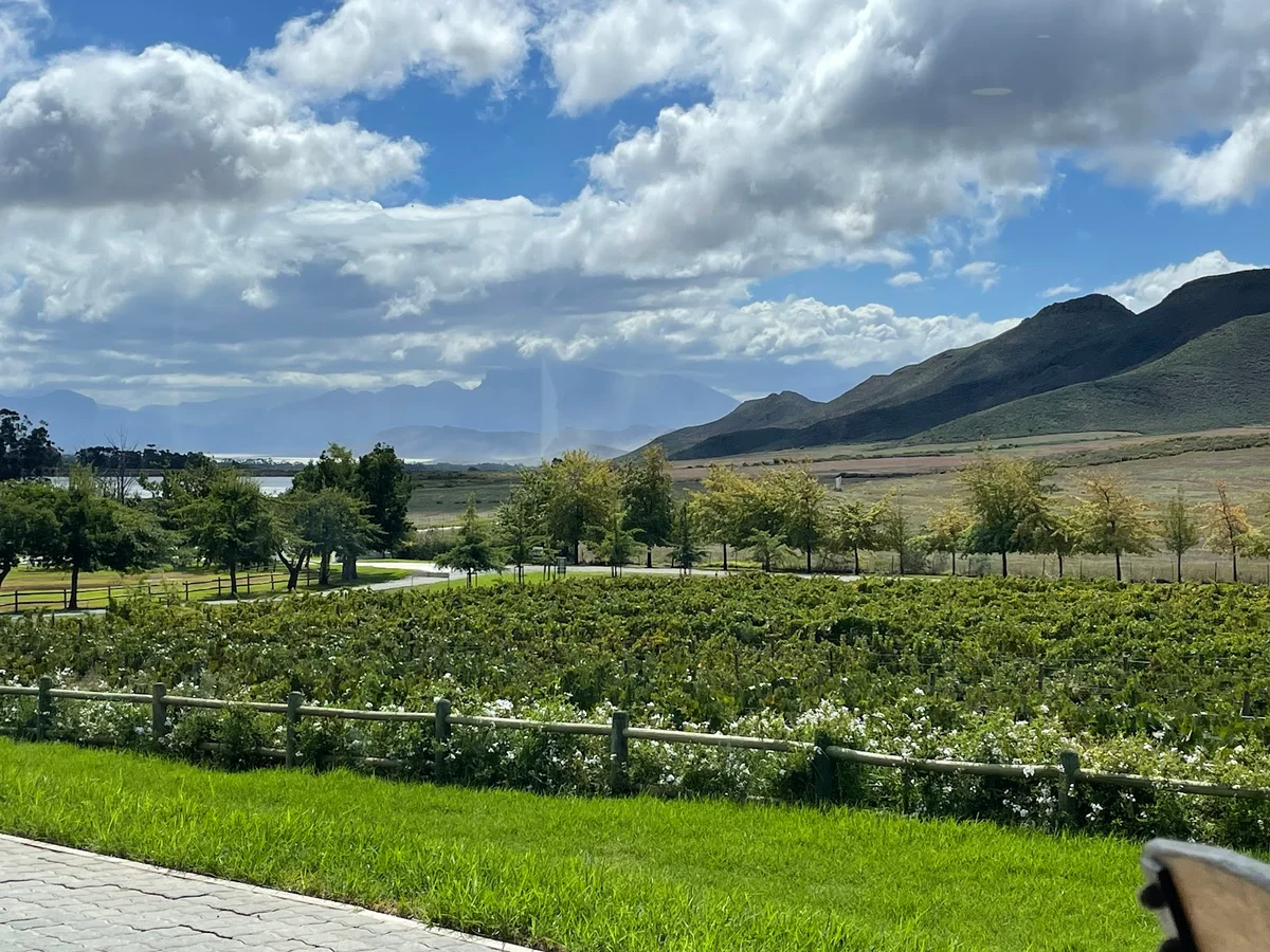Stettyn Family Vineyards | What to Know Before You Go