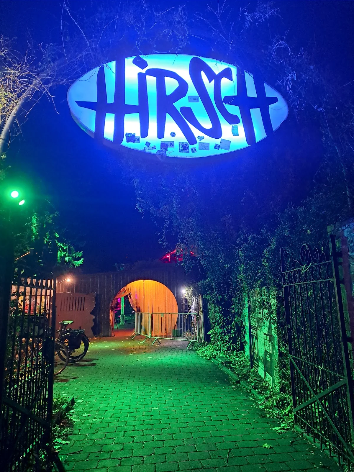 Hirsch in Nuremberg, Bayern | Ask Anything