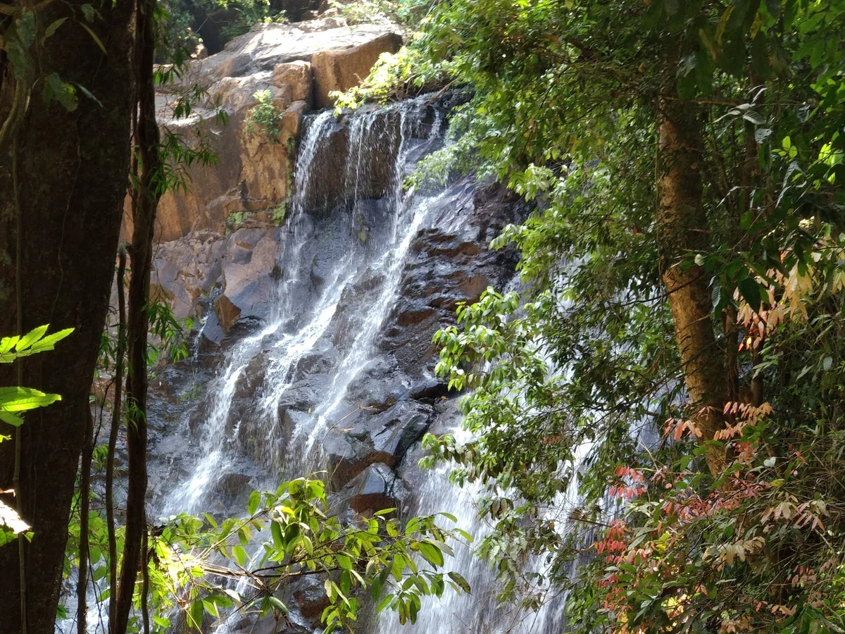 Sirimane Falls in Sringeri | What to Know Before You Go