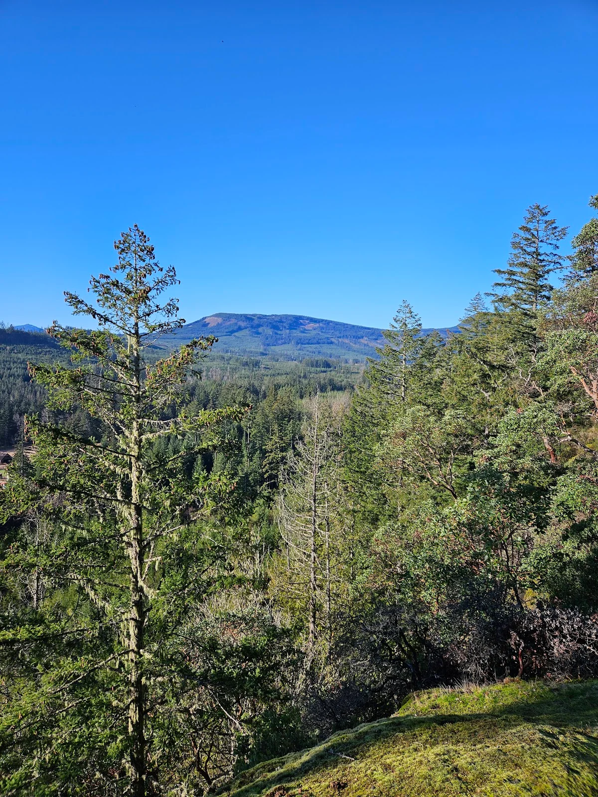 Extension Ridge Trail | What to Know Before You Go