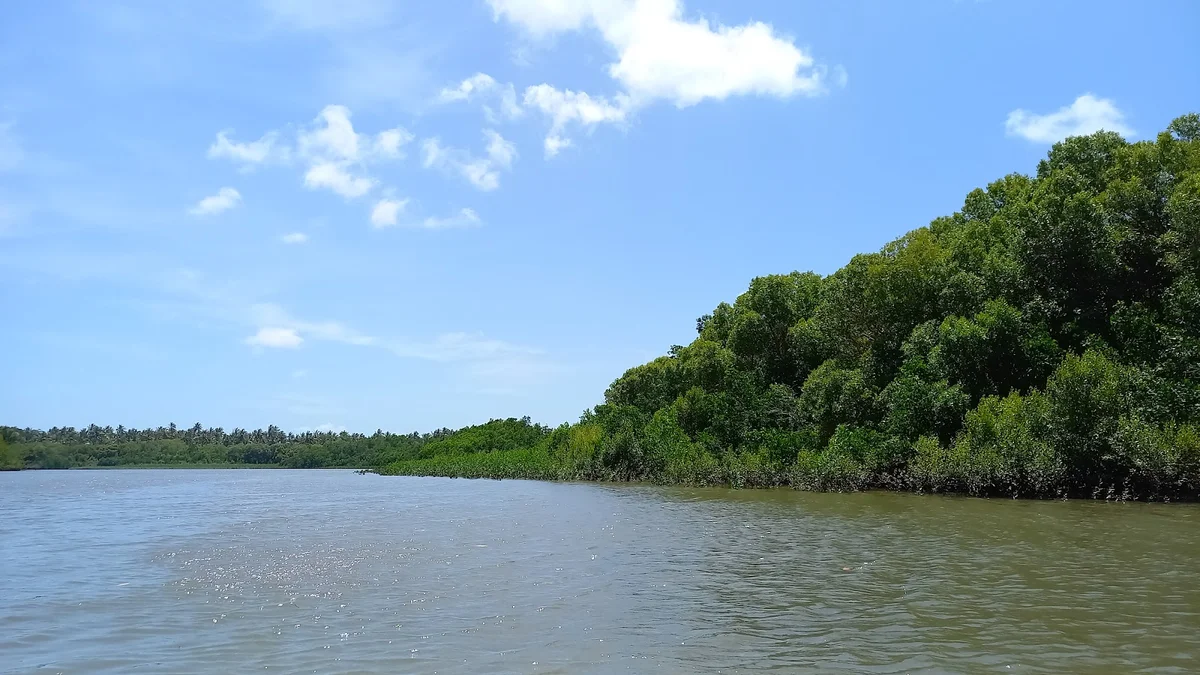 River Ramisi in Msambweni, Kwale County - Ask AI | mindtrip