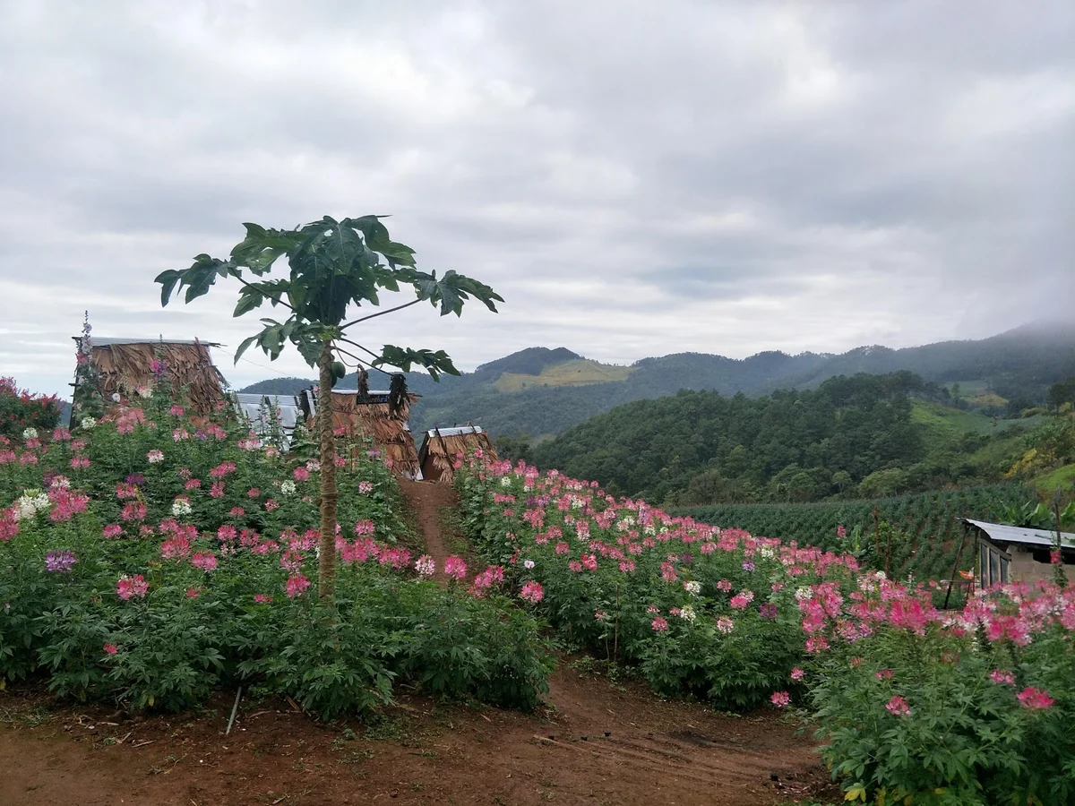 Yuam in Mae Sariang | What to Know Before You Go