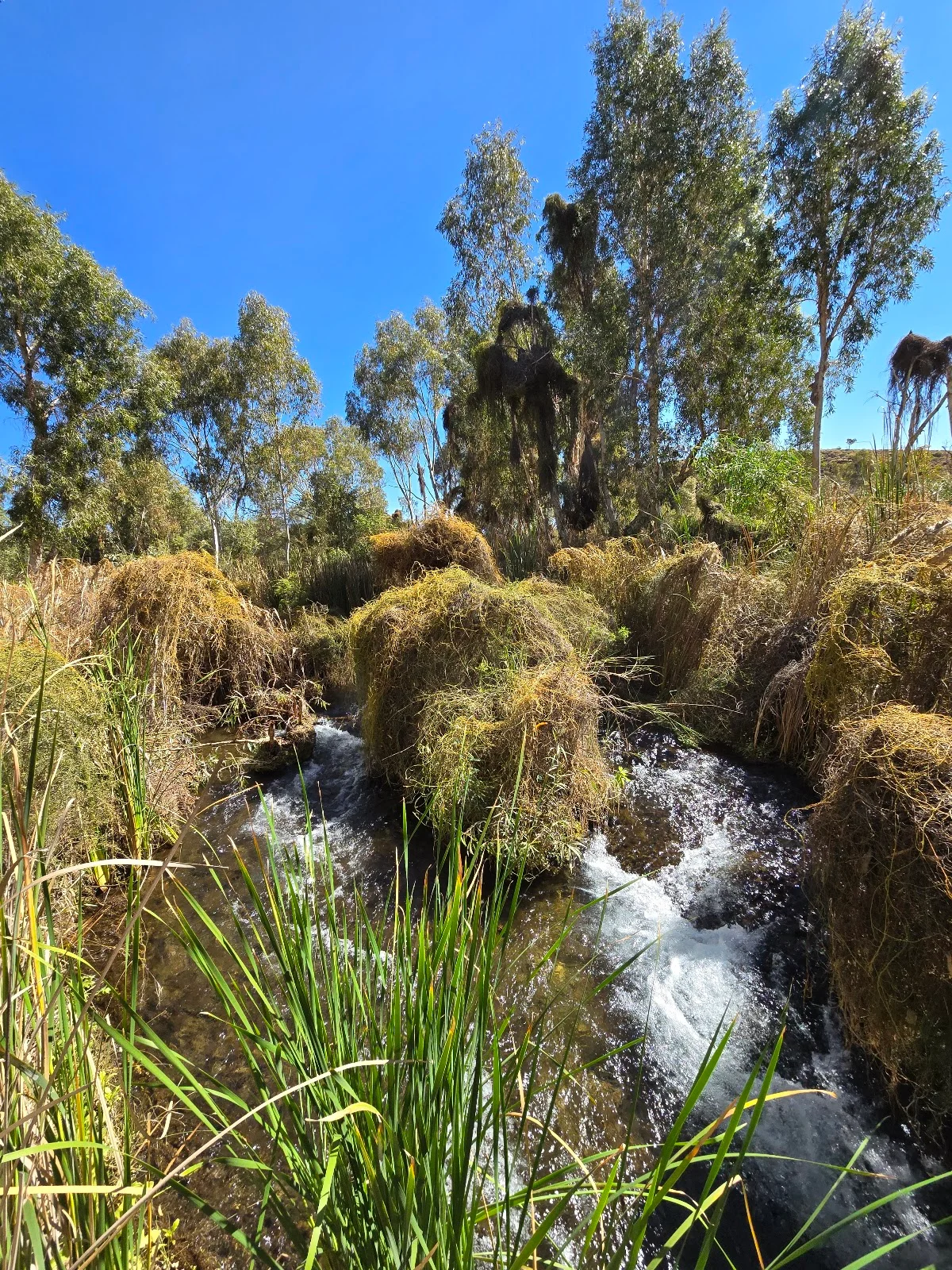 Weeli Wolli Spring | What to Know Before You Go