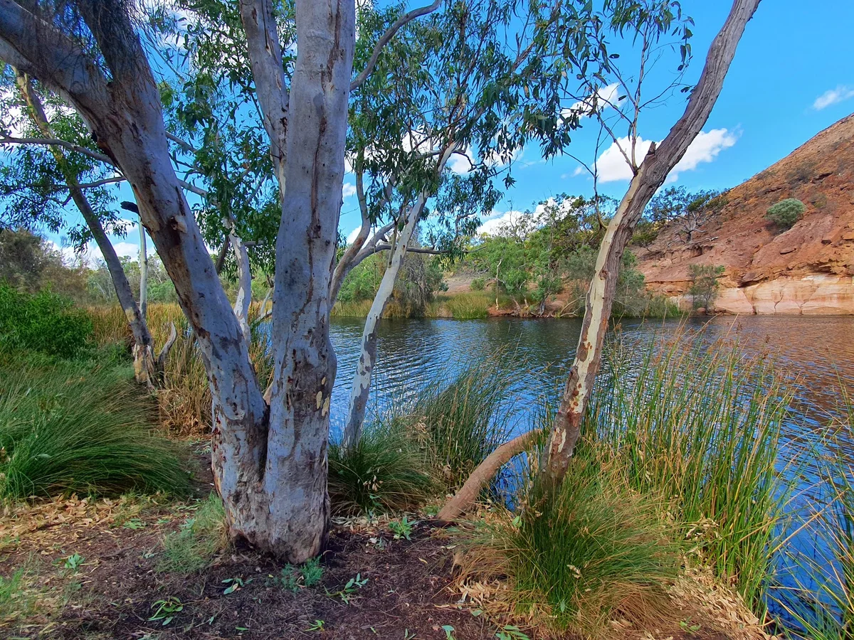Ellendale Pool in Western Australia - Ask AI | mindtrip