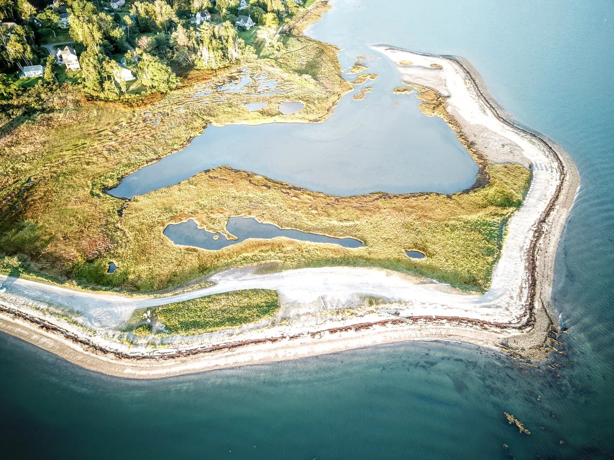 Stover's Point Preserve | What to Know Before You Go