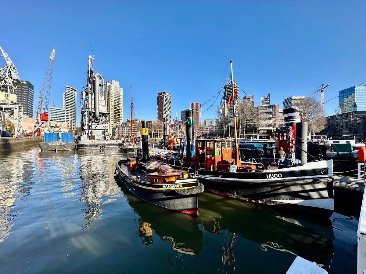 Leuvehaven in Rotterdam | What to Know Before You Go