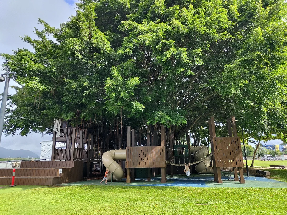 Fig Tree Play Ground in Cairns | What to Know Before You Go