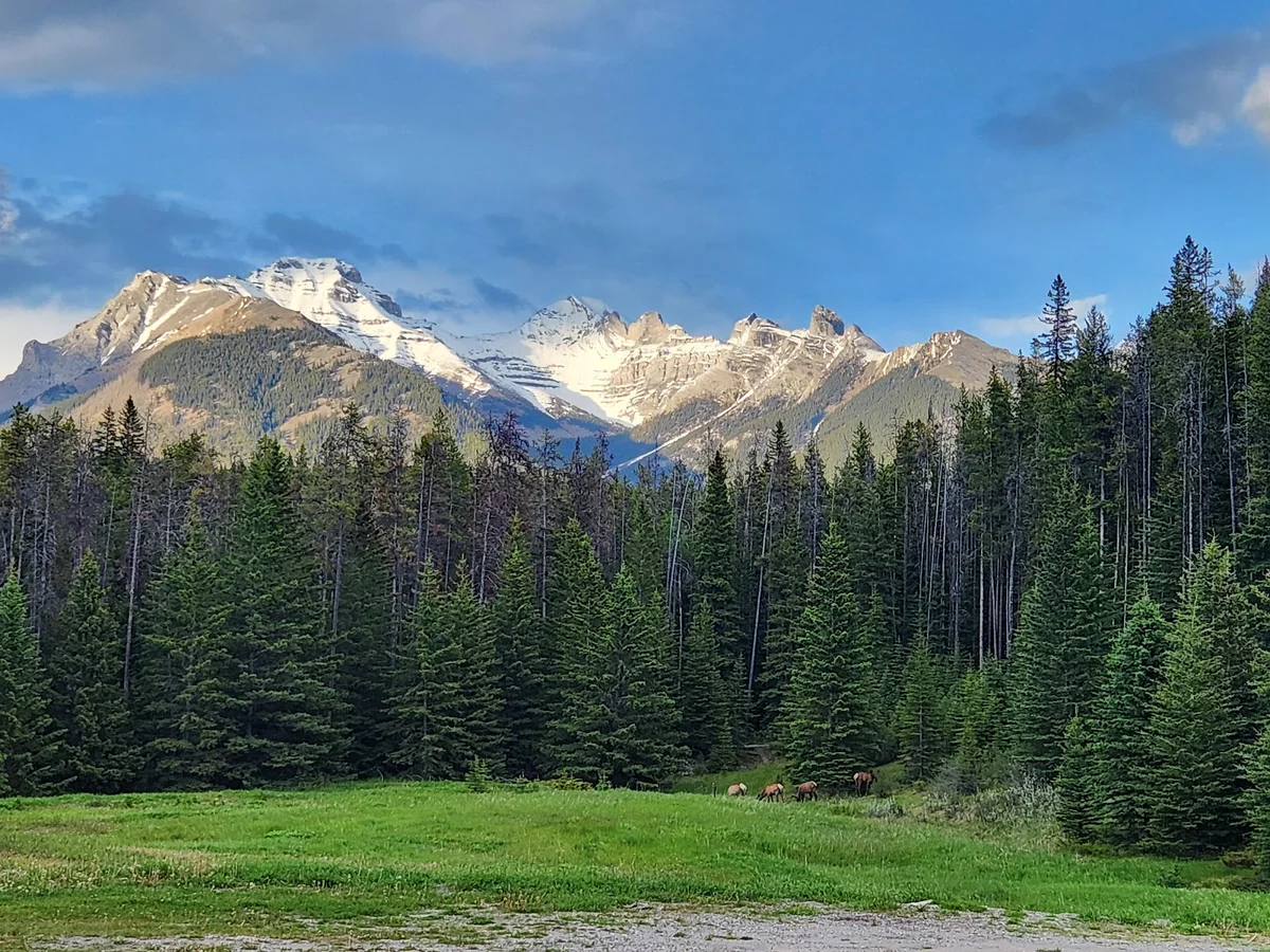Banff Park Ranch in Banff, Alberta - Ask AI | mindtrip