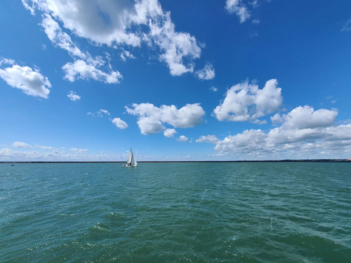 Cape Poge Wildlife Refuge | What to Know Before You Go