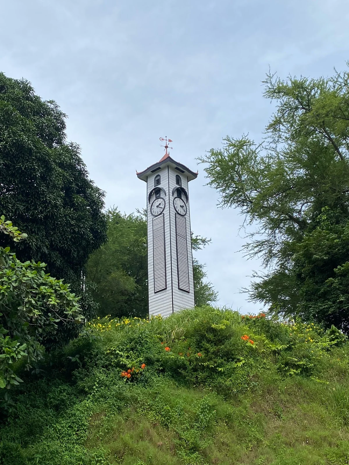 Atkinson Clock Tower in Kota Kinabalu, Sabah | Ask Anything