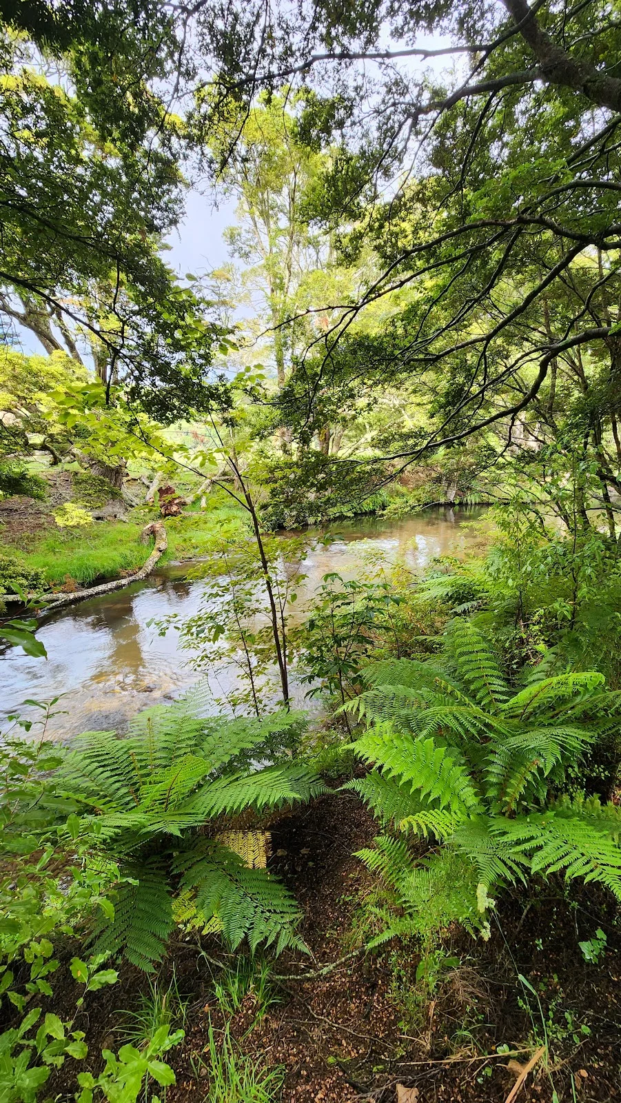 Tawanui Campsite in Tawanui, Otago - Ask AI | mindtrip