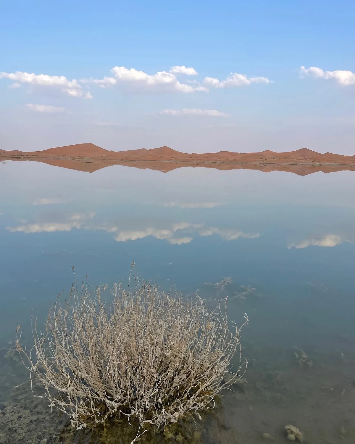 Al Safa Lake in Ad Dhahirah Governorate - Ask AI | mindtrip