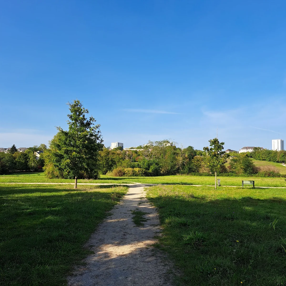 Parc de l'Arrou in Blois, Centre-Val de Loire | Ask Anything