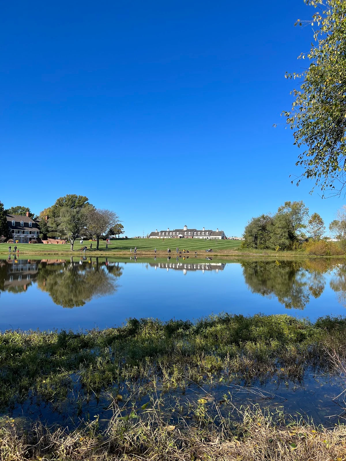Mildale Farm in Edgerton, Kansas - Ask AI | mindtrip