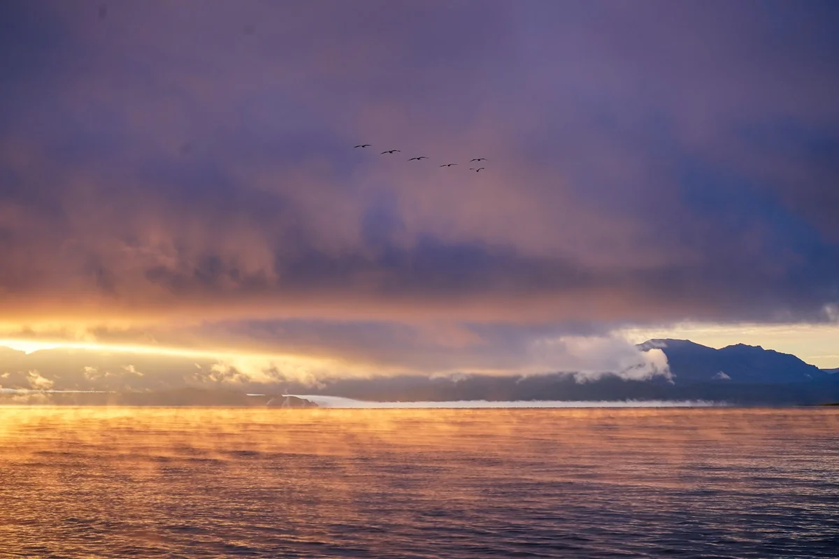 Gull Point in Wyoming - Ask AI | mindtrip