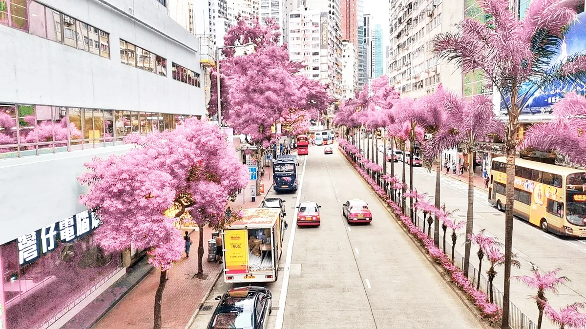 Hennessy Rd in Hong Kong | What to Know Before You Go