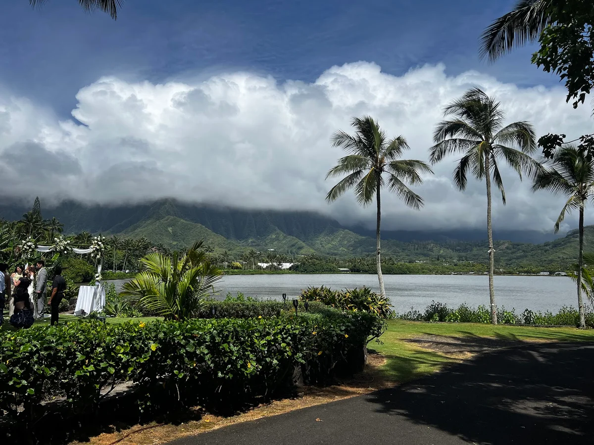 Kahalu'u Pond in Kahalu u | What to Know Before You Go