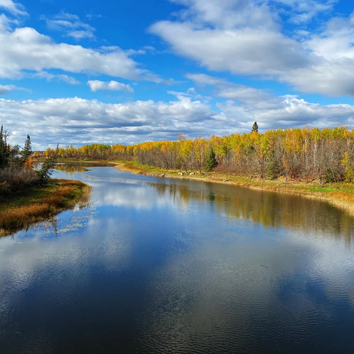 Whiteshell River Suspension bridge - Ask AI | mindtrip