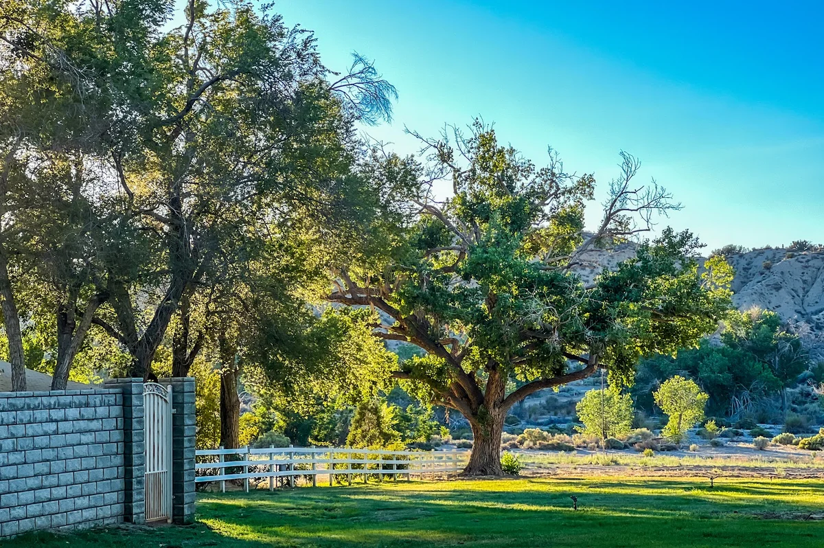 Saint Andrew's Abbey - Valyermo, CA | Retreat House and Catholic Gift ...