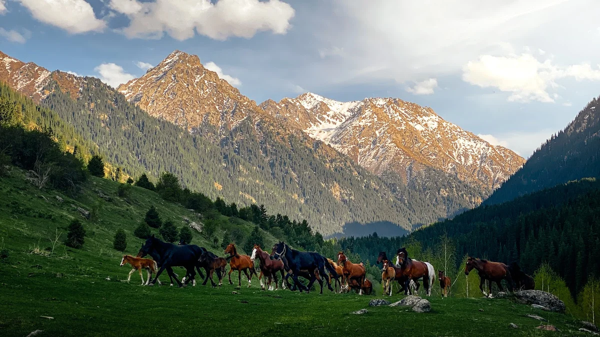Karakol Airport in Karakol - Ask AI | mindtrip