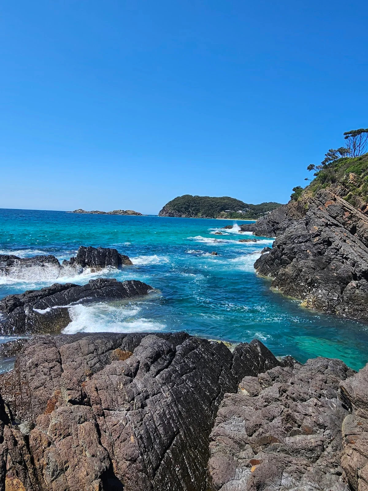 Seal Rocks in Seal Rocks - Ask AI | mindtrip