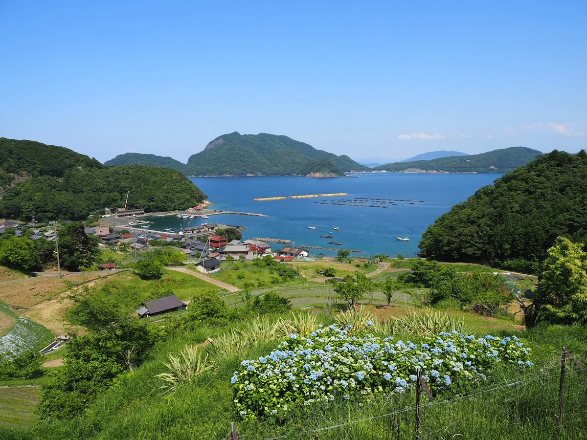 Hibiki Rice Terraces in Takahama-cho - Ask AI | mindtrip
