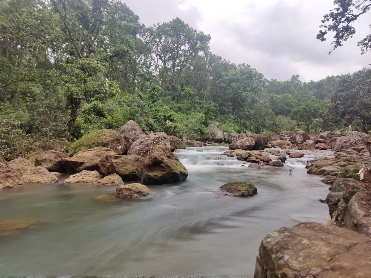 Fish Point, Mainpat in Chhattisgarh | Ask Anything