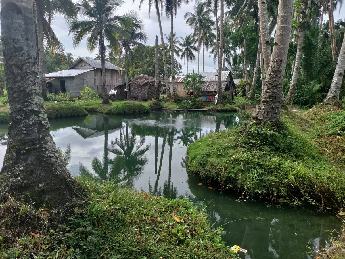 Mapaso Hot Spring in Calbayog City | Ask Anything