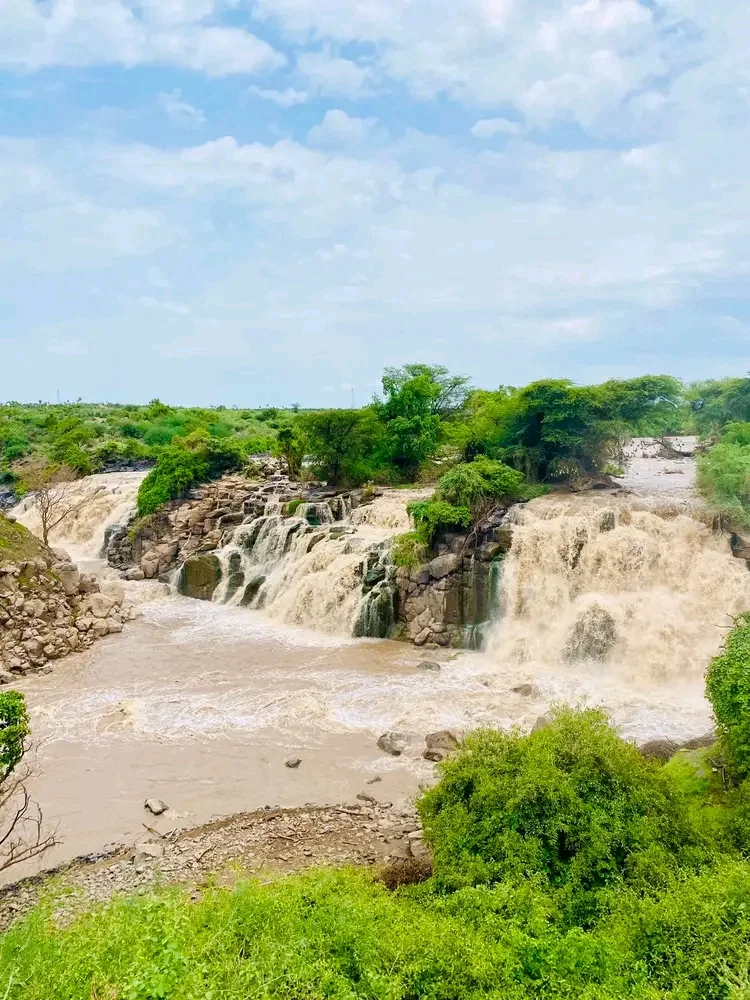 Awash River in Afar Region - Ask AI | mindtrip