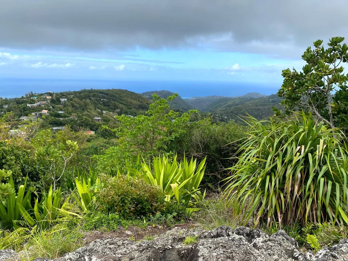 Mont Limon in Grande Montagne, Rodrigues - Ask AI | mindtrip