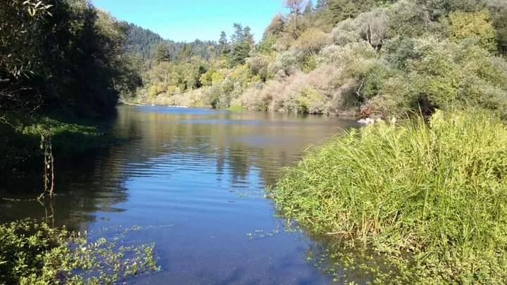 Patterson Point Preserve | What to Know Before You Go