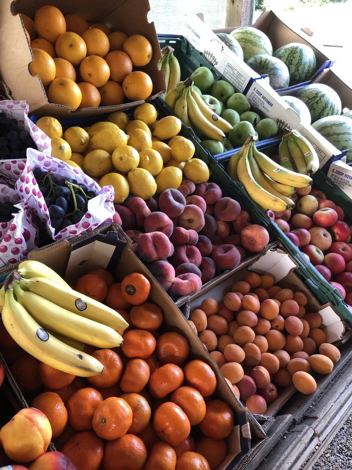Hewitt's Farm shop in Halstead, England - Ask AI | mindtrip