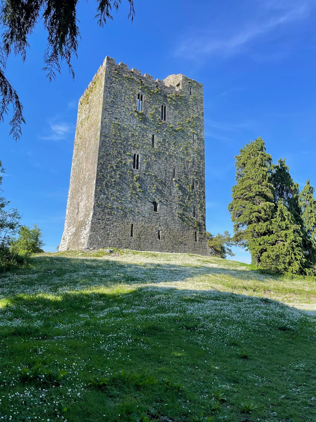 Conna Castle in Conna, County Cork - Ask AI | mindtrip